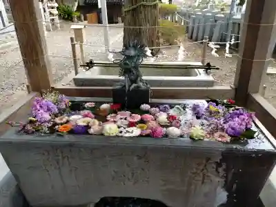 玉前神社の{uncategorized: "未分類", other: "その他", undefined: "問題あり", building: "その他建物", grave: "お墓", sacred_gate: "鳥居", guardian: "狛犬", statue: "像", buddha: "仏像", history: "歴史", nature: "自然", garden: "庭園", animal: "動物", pagoda: "塔", temizu: "手水舎", mountain_gate: "山門・神門", sanctuary: "本殿・本堂", subordinate: "末社・摂社", art: "芸術", scenery: "景色", jizo: "地蔵", ema: "絵馬", goshuin: "御朱印", omikuji: "おみくじ", items: "授与品その他", amulet: "お守り", goshuincho: "御朱印帳", eats: "食事", festival: "お祭り", votive_dance: "神楽", shichigosan: "七五三参", wedding: "結婚式", experience: "体験その他", initially: "初詣", around: "周辺", anti_infection: "感染症対策"}