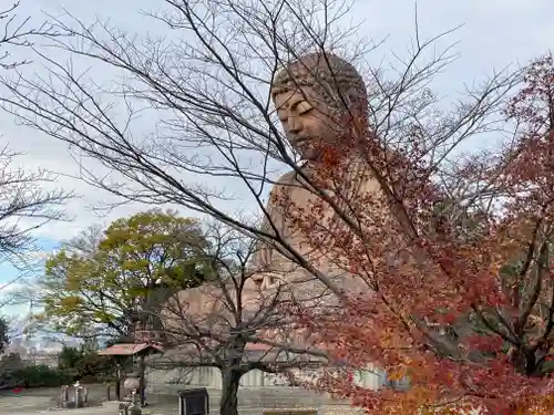 法憧山 普済寺の仏像