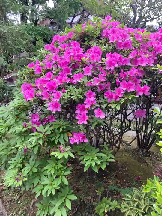 仙寿院(東京都)