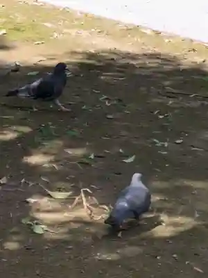 祐天寺(東京都)