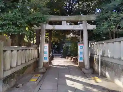渋谷氷川神社の鳥居