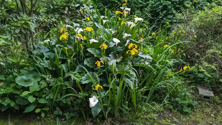 攝取院(摂取院)(滋賀県)