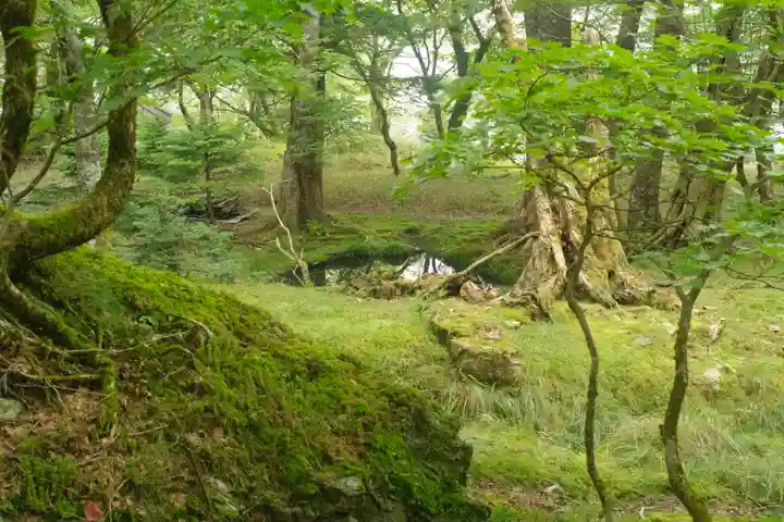 大峯山寺の自然