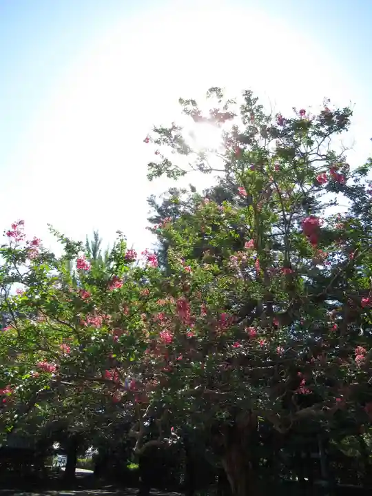 金乘院(千葉県)