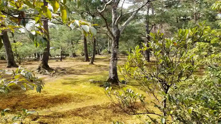 鹿苑寺(金閣寺)の庭園