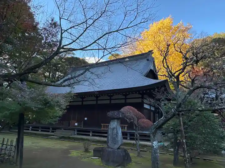 早雲寺の本殿・本堂