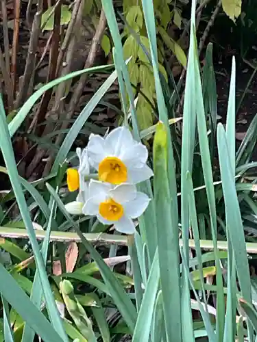 明月院(神奈川県)