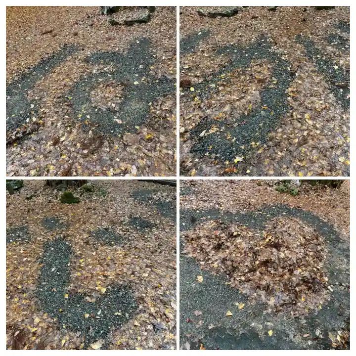 羽賀寺(福井県)