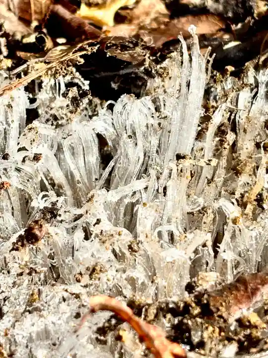 蚊里田八幡宮の{uncategorized: "未分類", other: "その他", undefined: "問題あり", building: "その他建物", grave: "お墓", sacred_gate: "鳥居", guardian: "狛犬", statue: "像", buddha: "仏像", history: "歴史", nature: "自然", garden: "庭園", animal: "動物", pagoda: "塔", temizu: "手水舎", mountain_gate: "山門・神門", sanctuary: "本殿・本堂", subordinate: "末社・摂社", art: "芸術", scenery: "景色", jizo: "地蔵", ema: "絵馬", goshuin: "御朱印", omikuji: "おみくじ", items: "授与品その他", amulet: "お守り", goshuincho: "御朱印帳", eats: "食事", festival: "お祭り", votive_dance: "神楽", shichigosan: "七五三参", wedding: "結婚式", experience: "体験その他", initially: "初詣", around: "周辺", anti_infection: "感染症対策"}