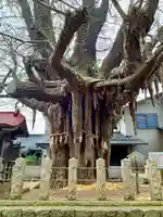 姥神神社(宮城県)
