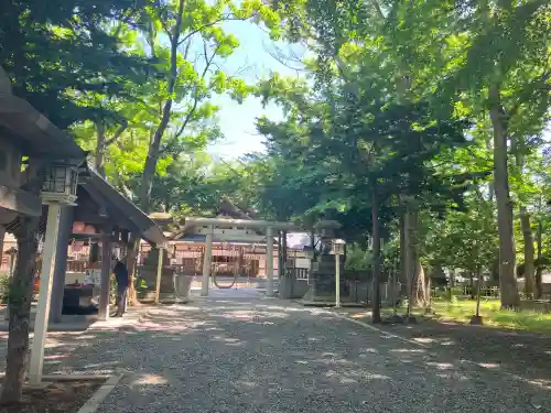 新琴似神社(北海道)