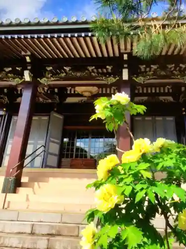 圓照寺(東京都)