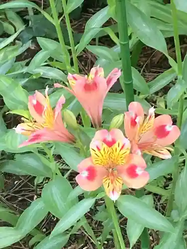 三寳寺(東京都)