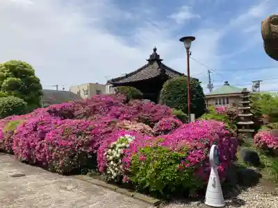 醫王寺の{uncategorized: "未分類", other: "その他", undefined: "問題あり", building: "その他建物", grave: "お墓", sacred_gate: "鳥居", guardian: "狛犬", statue: "像", buddha: "仏像", history: "歴史", nature: "自然", garden: "庭園", animal: "動物", pagoda: "塔", temizu: "手水舎", mountain_gate: "山門・神門", sanctuary: "本殿・本堂", subordinate: "末社・摂社", art: "芸術", scenery: "景色", jizo: "地蔵", ema: "絵馬", goshuin: "御朱印", omikuji: "おみくじ", items: "授与品その他", amulet: "お守り", goshuincho: "御朱印帳", eats: "食事", festival: "お祭り", votive_dance: "神楽", shichigosan: "七五三参", wedding: "結婚式", experience: "体験その他", initially: "初詣", around: "周辺", anti_infection: "感染症対策"}