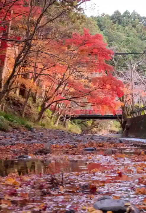 小國神社(静岡県)