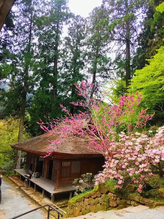 室生寺(奈良県)