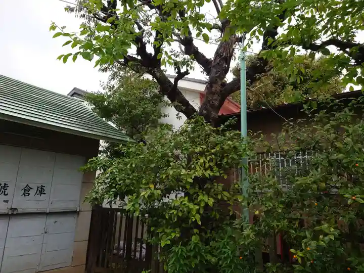 染井稲荷神社(東京都)