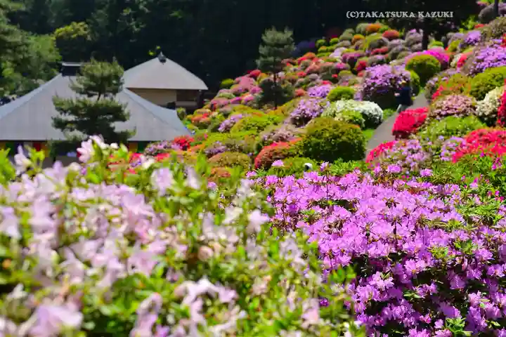 塩船観音寺(東京都)