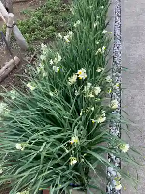 眞芳寺(神奈川県)