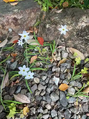 溝旗神社（肇國神社）(岐阜県)