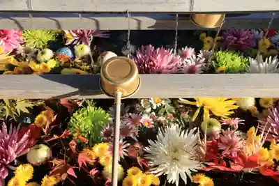 豊景神社の手水舎