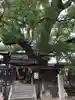 三島神社(大阪府)