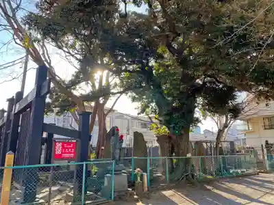 円通寺(東京都)