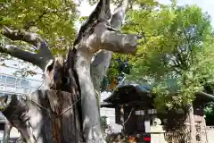 阿邪訶根神社の景色