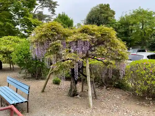 玉敷神社の庭園