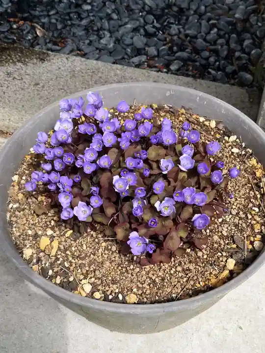 高司神社〜むすびの神の鎮まる社〜(福島県)