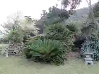 天神多久頭魂神社の自然