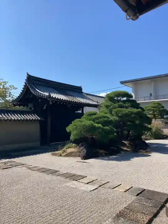東寺(教王護国寺)(京都府)