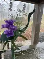 釧路一之宮 厳島神社の手水舎