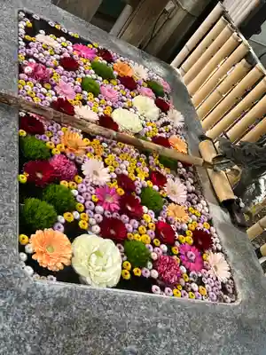 高円寺氷川神社(東京都)