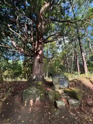 戸隠神社火之御子社(長野県)
