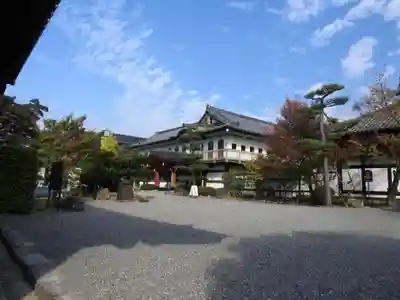 三十三間堂本坊　妙法院門跡のその他建物