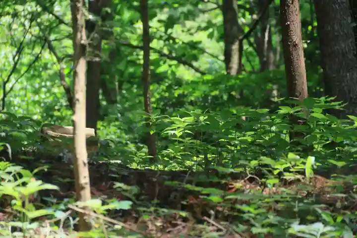 鹿島大神宮の景色