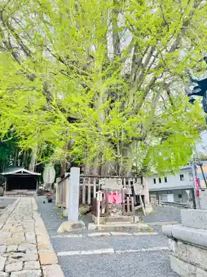 熊野大社(山形県)