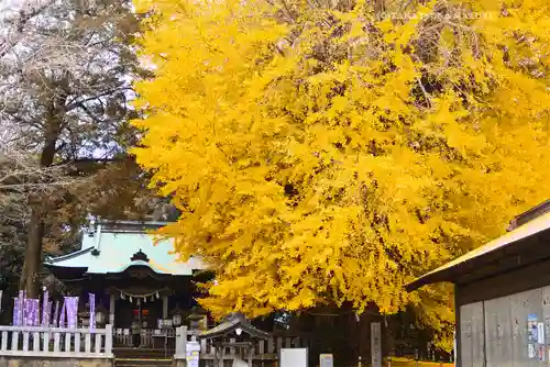 鶴嶺八幡宮(神奈川県)
