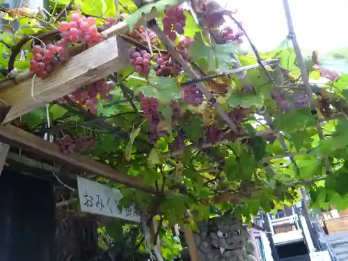 菊名神社の庭園