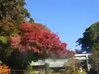 鎌倉宮のその他建物