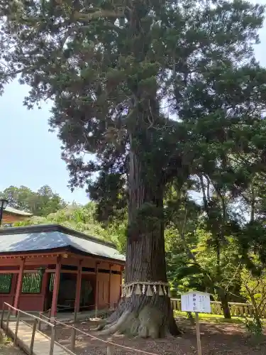 志波彦神社・鹽竈神社の{uncategorized: "未分類", other: "その他", undefined: "問題あり", building: "その他建物", grave: "お墓", sacred_gate: "鳥居", guardian: "狛犬", statue: "像", buddha: "仏像", history: "歴史", nature: "自然", garden: "庭園", animal: "動物", pagoda: "塔", temizu: "手水舎", mountain_gate: "山門・神門", sanctuary: "本殿・本堂", subordinate: "末社・摂社", art: "芸術", scenery: "景色", jizo: "地蔵", ema: "絵馬", goshuin: "御朱印", omikuji: "おみくじ", items: "授与品その他", amulet: "お守り", goshuincho: "御朱印帳", eats: "食事", festival: "お祭り", votive_dance: "神楽", shichigosan: "七五三参", wedding: "結婚式", experience: "体験その他", initially: "初詣", around: "周辺", anti_infection: "感染症対策"}