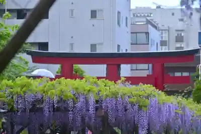 亀戸天神社(東京都)