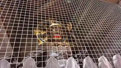 妻沼聖天山歓喜院(埼玉県)