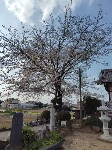 大塚諏訪神社 (埼玉県)