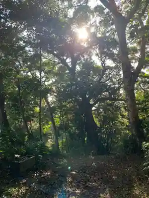 大山大神(千葉県)