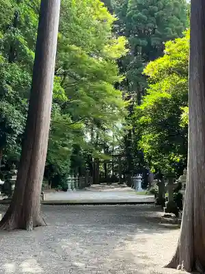 御上神社(滋賀県)