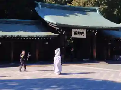 明治神宮(東京都)