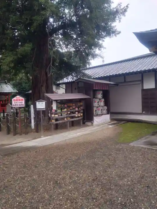 白岡八幡神社(埼玉県)