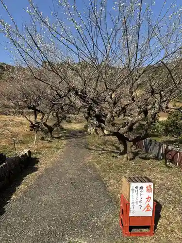 長楽寺(静岡県)